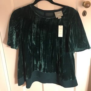 NWT Maeve (Anthropologie) green velvet top